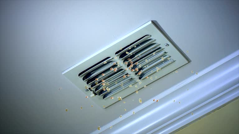 Best Affordable Duct Cleaning Services  in East Lansing, MI